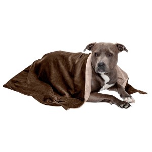 FurHaven Waterproof Velvet Pet Throw Blanket for Dogs & Cats - 1 of 3