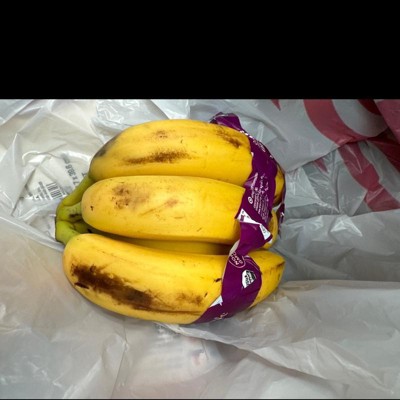 Organic Bananas  Hunte Bananas LLC