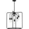Progress Lighting, Bonn Collection, 6-Light Pendant, Matte Black, Open-Cage, Steel, Industrial Vintage Vibes - 3 of 3