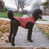 The Worthy Dog  Windsor Tartan Jacket - 2 of 3