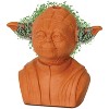 Joseph Enterprises, Inc Star Wars Yoda Chia Pet Decorative Planter - 2 of 4