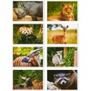 Best Paper Greetings Wild Animal Postcards – 40 Postcards – Bulk Set - Featuring Tigers, Bears, Giraffes, Elephants, & More – 4 x 6 Inches - 4 of 4