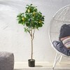 KTMBDW Artificial Tree -Tall Faux Trees, Realistic Plants with Branches and Fruits for Home Decor Living Room - 2 of 4