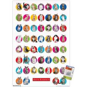 Trends International Keith Kimberlin - Kitten Grid Unframed Wall Poster Prints - 1 of 4