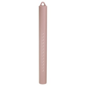 Unique Bargains Silicone Cylindrical Stainless Steel Inner Core Non-Stick Rolling Pin - 1 of 4