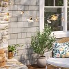10ct LED Plug In Indoor Outdoor Orb and Globe String Lights Clear/White - Threshold™ designed with Studio McGee - 2 of 4