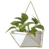Succulent Wall Geometric Hanging White/Gold - Project 62™ - image 4 of 4