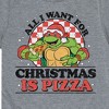 Boys' - Teenage Mutant Ninja Turtles - All I Want For Christmas Short Sleeve Graphic T-Shirt - 2 of 4