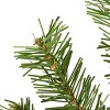 National Tree Company Pre-Lit Artificial Christmas Garland, Green, Norwood Fir, White Lights, Plug In, Christmas Collection, 9 Feet - 3 of 4
