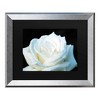 Trademark Fine Art-Kurt Shaffer 'White Rose II' Canvas Art - 2 of 4