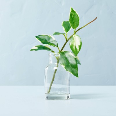 Faux Mini Variegated Hoya Stem Glass Arrangement - Hearth & Hand™ with Magnolia