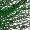 black/green