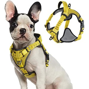 rabbitgoo Dog Harness, No Pull Dog Vest Harnesses with Bungee Handle & 2 Metal Clips, Belly Adjustable, Soft Padded for Large Medium Small Dogs - 1 of 1