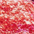 red/gold
