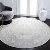 Adirondack ADR108 Non-Shedding Power Loomed Indoor Rugs - Safavieh - 2 of 4