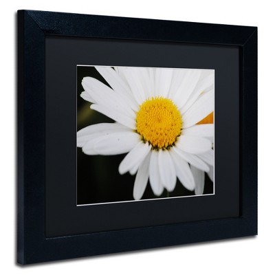 Trademark Fine Art -Monica Mize 'Sweet Splendor' Matted Framed Art