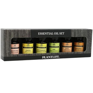 Top 6 Citrus Essential Oil Gift Set (Lime, Lemon, Sweet Orange, Tangerine, Grapefruit, and Lemongrass) – 6/10 ml – 100% Pure Therapeutic Grade - 1 of 1