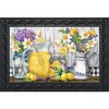 Briarwood Lane Doormat 30x18 Indoor Outdoor Lemonade Summer For Summer Doormat - 2 of 4