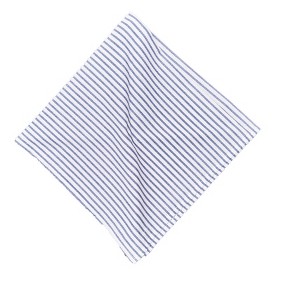 C&F Home Pin Stripe Navy Napkin Set of 6 - 1 of 3
