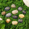 Juvale 12-Pack Inspirational Rocks with Words - Spiritual Christian-Inspired Prayer Stones, Religious Gifts, Zen Home Decor - 2 of 4