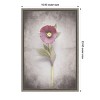 Amanti Art Vintage Hellebore Study VI by Felicity Bradley Framed Canvas Wall Art - 4 of 4
