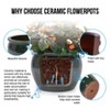 KTMBDW Ceramic Plant Pots Set of 3, Planters with Drainage Holes, Flower Pot Outdoor Indoor - 3 of 4