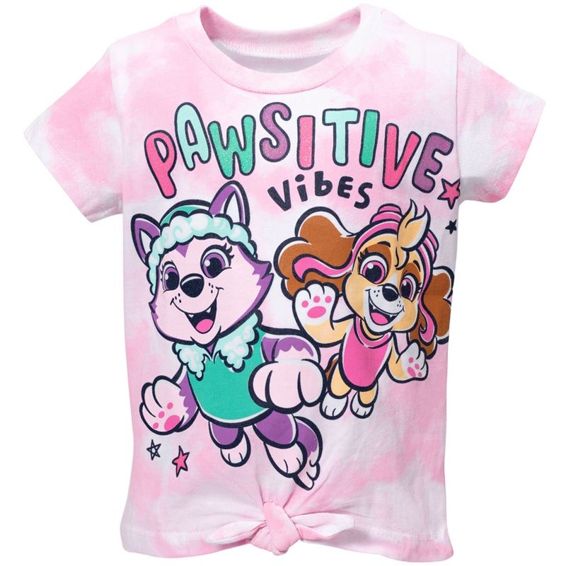 PAW Patrol Everest Skye Girls Graphic T-Shirt and Shorts Outfit Set Toddler, 5 of 8