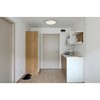 Access Lighting Zenon 2 - Light Flush Mount in  Brushed Steel - 2 of 2