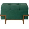 Fabulaxe Rectangle Velvet Storage Ottoman with Abstract Golden Legs | Sitting Bench for Living Room Home Decor with Unique Base Support - 3 of 4