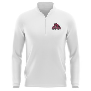 Men's State University of New York at Potsdam Adult Active Sport 1/4 Zip Pullover Left Chest Logo - 1 of 4