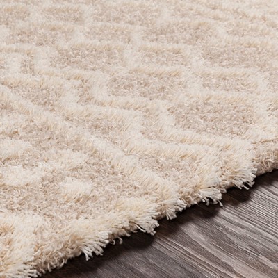 Ivory Shag Rectangular Stain-Resistant Rug