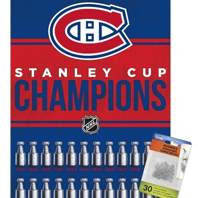 clear push pins bundle