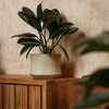 LiveTrends Earthbound Ceramic Indoor Novelty Planter Beige 6.5"x6.5"x5.5" - 2 of 4