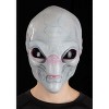 HalloweenCostumes.com One Size Fits Most   Alien Visitor Adult Mask, Black/Green - 2 of 4
