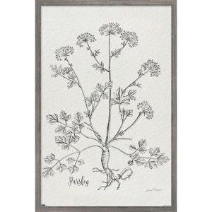 Trends International Jean Plout - Botanical Studies on Paper Parsley Framed Wall Poster Prints - 1 of 4