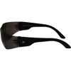 2 Pairs of Birdz Eyewear Pigeon Safety Glasses - 4 of 4