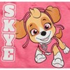 Nickelodeon Paw Patrol Skye Little Girls Half-Zip Fleece Pullover Hoodie Pink  - image 3 of 4