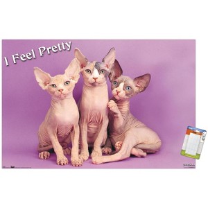 Trends International Keith Kimberlin - Kittens - Pretty Kitty Unframed Wall Poster Prints - 1 of 4