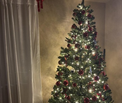 Guest review image 1 of 1, zoom in