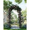 8 FT Garden Archway with Single Gate, Rust-Resistant Metal Arbor for Weddings, Parties & Outdoor Decor - 2 of 4