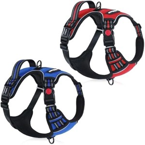 rabbitgoo Dog Harness - No Pull Pet Harness with 3 Buckles, Adjustable Soft Padded Pooch Vest with Instant Control Handle£¬Blue & Red, L - 1 of 1