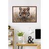 Trends International Reinders: Animals - Hunting Tiger In Grasses Framed Wall Poster Prints - 2 of 4