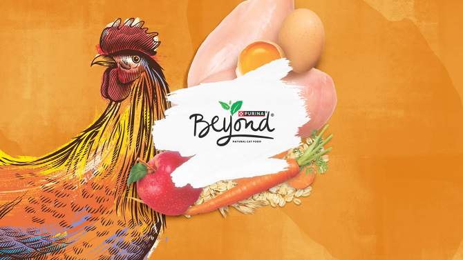 Purina Beyond White Meat Chicken & Whole Oat Meal Recipe Adult Premium Dry Cat Food, 2 of 9, play video