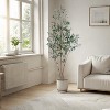 Artificial Olive Trees, Plastic Olive Tree, Home Decoration Plant, Adjustable, for Living Room, Bedroom, Home, Office - 4 of 4