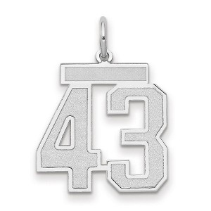 Black Bow Jewelry 14k White Gold, Jersey Collection, Medium Number 43 Pendant - 1 of 3