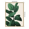 Amanti Art Jeweled Ficus I by Grace Popp Framed Canvas Wall Art - 4 of 4