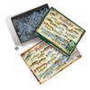 Cobble Hill: Freshwater Fish Of North America 1000 Piece Puzzle - 3 of 4