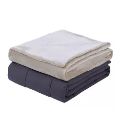 48"x72" 15lbs Plush Weighted Blanket with Removable Cover Taupe - DreamLab