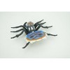 Collectible Wildlife Gifts | Peacock Spider, Jumping Spiders, Maratus, Museum Quality, Hand Painted, Rubber, Insect, Toy, Gift  4 1/2"  CH300 BB181 - 4 of 4
