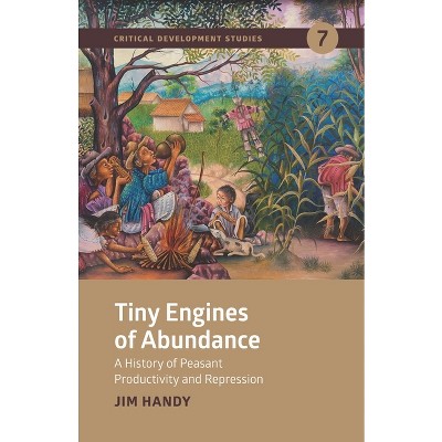Tiny Engines of Abundance - by  Jim Handy (Paperback)